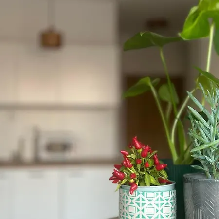 Cosy Okecie Апартаменты *