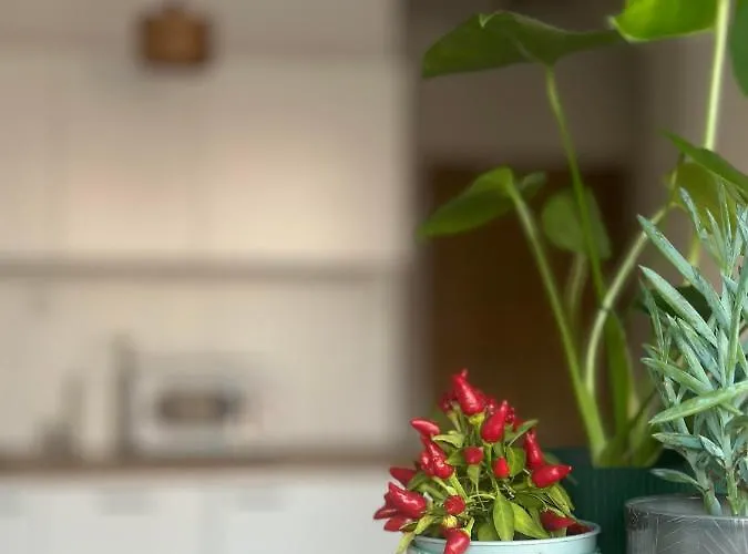 Cosy Okecie Apartamento *