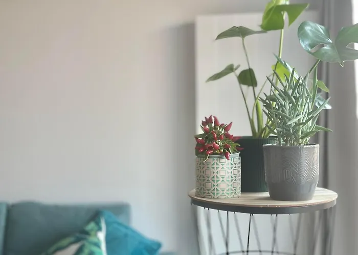 Apartamento Cosy Okecie