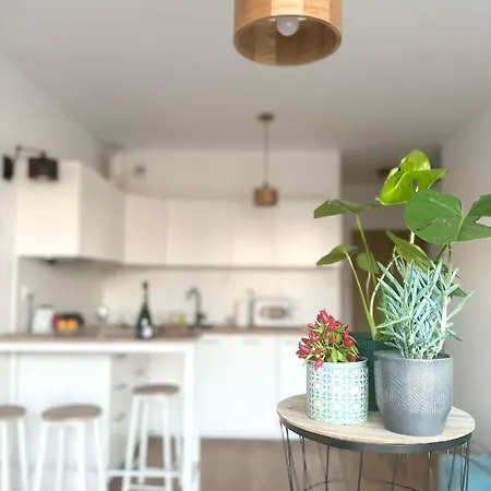 Cosy Okecie 公寓 华沙